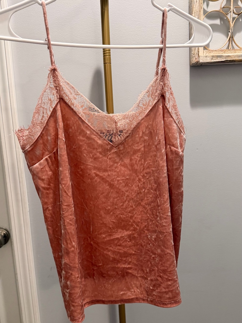 Forever 21 Velvet Lace Trim Cami in Dusty Rose